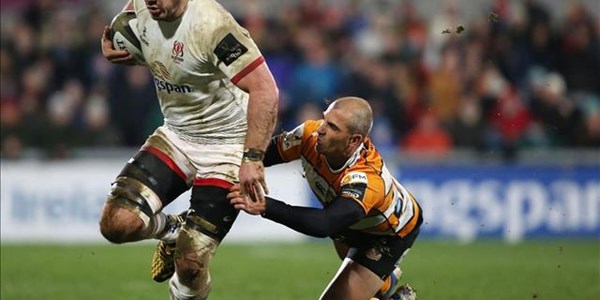 Belfast leaves a lasting impression on the Cheetahs | News Article