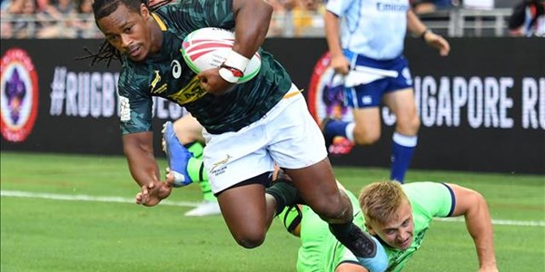 Young Blitzboks know all about patience and determination | News Article
