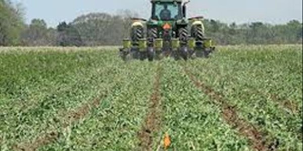 Land Expropriation discussed in Bfn Land Expropriation discussed in Bfn | News Article