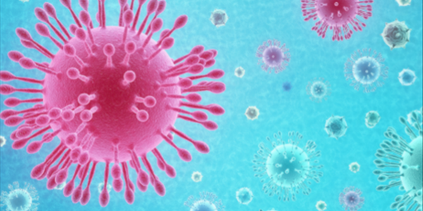 #Coronavirus: FS venues scouted for quarantine #Coronavirus: FS venues scouted for quarantine | News Article