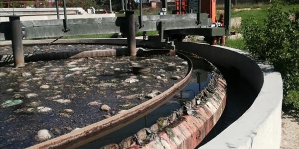 Koffiefontein community say ‘it’s not us’ Koffiefontein community say ‘it’s not us’ | News Article