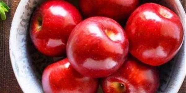 South Africa’s agriculture exports to Asia may decline South Africa’s agriculture exports to Asia may decline | News Article