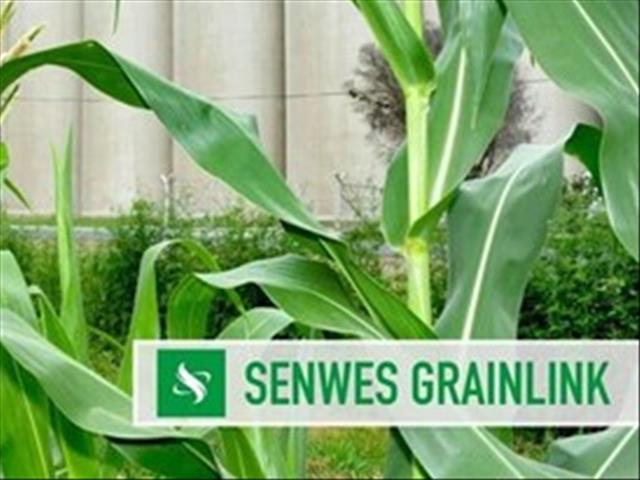 Senwes Grainlink: Hier is jou jongste Safex-pryse | News Article