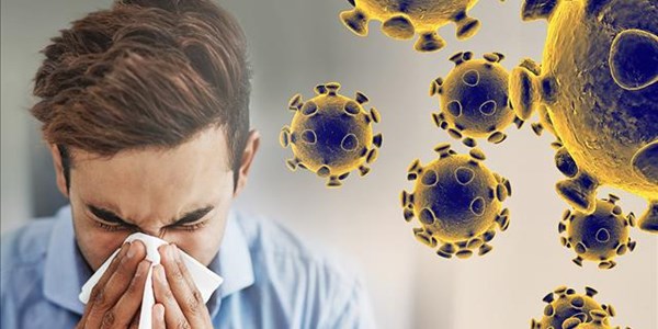 SA #Coronavirus testing: How it works, where to go SA #Coronavirus testing: How it works, where to go | News Article