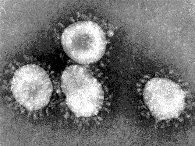 #Coronavirus: 58 citizens from FS & NW repatriated  | News Article