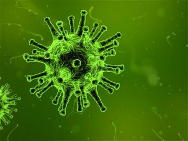 Number of confirmed #Covid19 cases in SA rises to 116 | News Article
