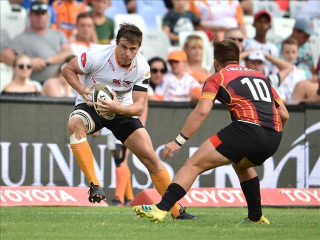 Cheetahs all test negative for COVID-19 | News Article