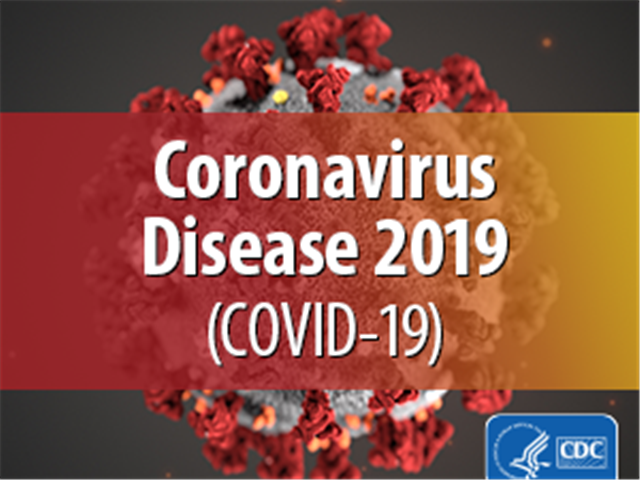 SA's #coronavirus infections escalate to 85 | News Article
