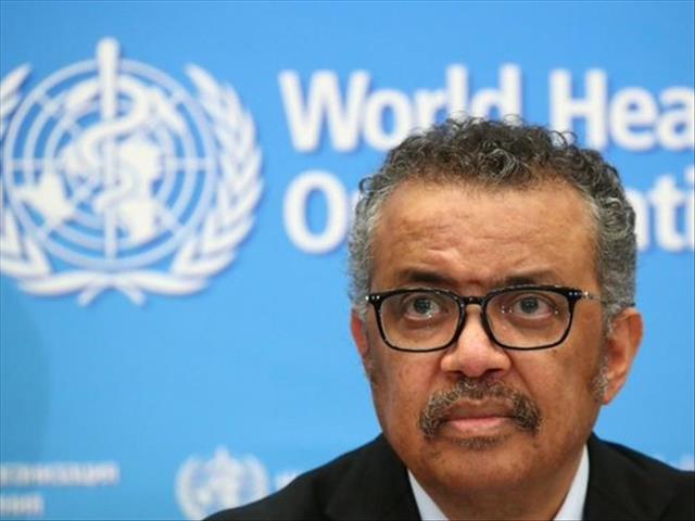 Africa must 'prepare for worst' - WHO | News Article