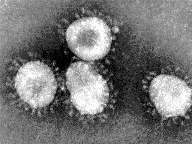 #Coronavirus: NW steps up efforts to stem the virus  | News Article