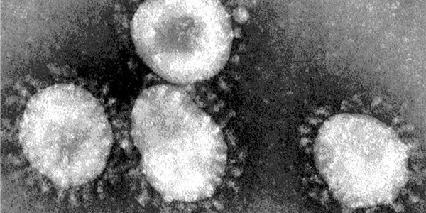 #CoronavirusSA: Top team of experts to map Covid-19 #CoronavirusSA: Top team of experts to map Covid-19 | News Article