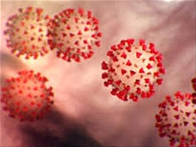 #CoronavirusSA cases rise sharply to 554 | News Article