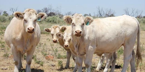 Landbounuus-podcast: Landboubedryf moet voorgeskrewe maatreëls streng toepas | News Article