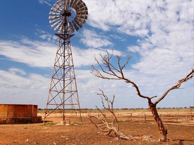 Droogtehulp steeds nodig in Noord-Kaap, pleit boere | News Article