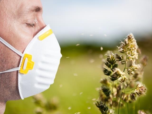 Your Local Pollen Report - 27 Mar 2020 | News Article