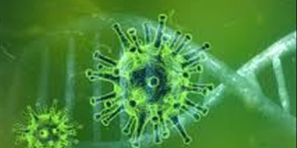 How #Coronavirus lockdown differs across the world | News Article