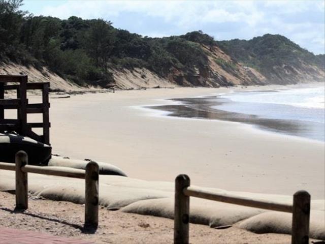 Nature may be #Covid19 lockdown’s biggest beneficiary | News Article