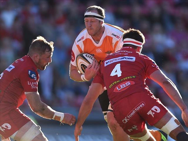 Former Cheetahs left Japan before the lockdown | News Article