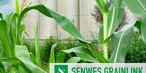Senwes Grainlink: Hier is jou Safex-pryse | News Article