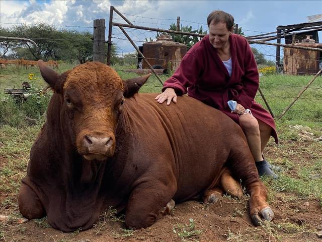 Landbounuus-podcast: Neem #Covid19 ernstig op, sê boer | News Article