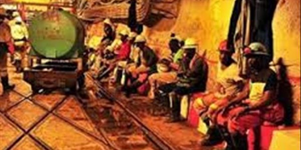 #Covid19: Amcu concerned over NW mineworkers #Covid19: Amcu concerned over NW mineworkers | News Article