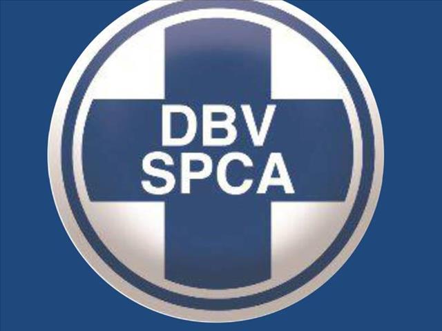 BFN SPCA rescues starving chickens  | News Article