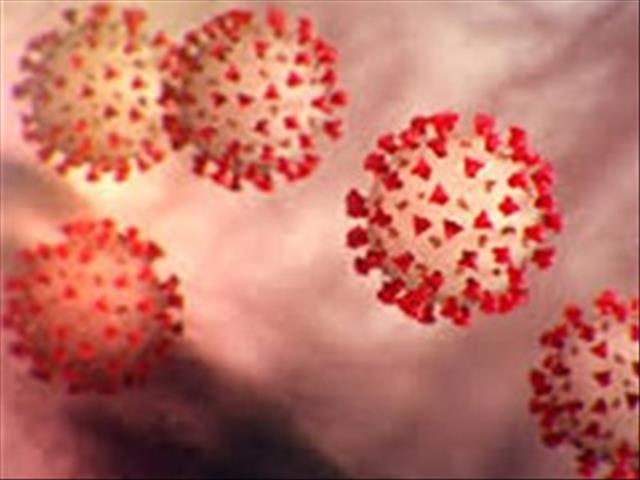 #Coronavirus: Moqhaka intensifies efforts against #Covid19  | News Article
