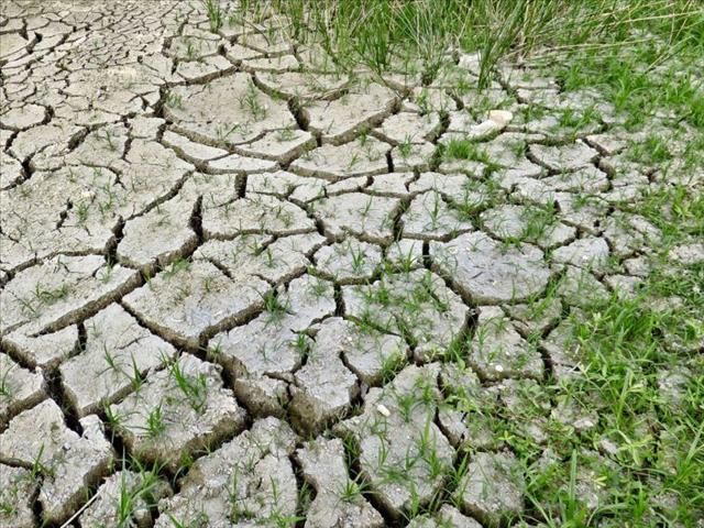 Droogte nog nie gebreek in NK, natter siklus word wel verwag | News Article