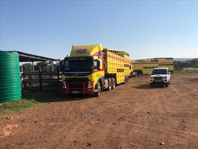 Beeswinkel: Gewildheid van aanlynveilings neem nou toe | News Article