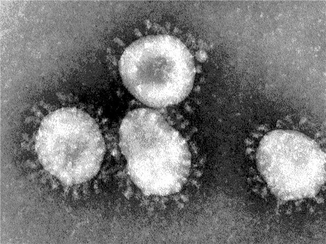 Most #coronavirus infections in NC contracted outside the province - dept | News Article