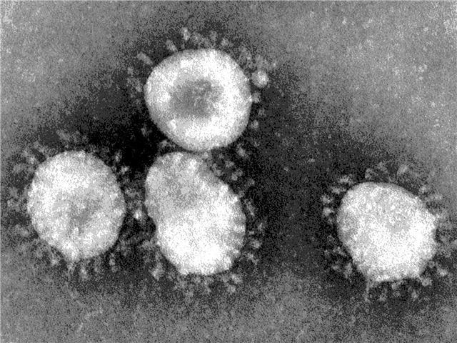 #Coronavirus: Close to 900 swabs in NC sent for testing  | News Article