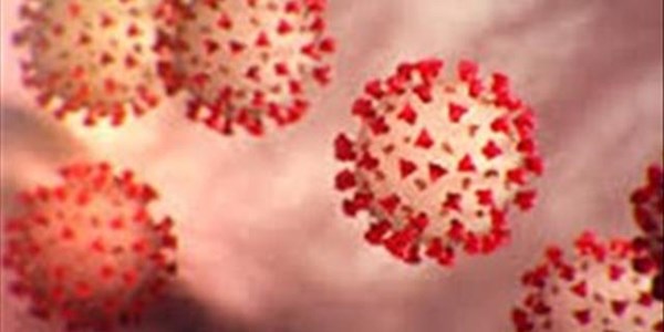 #Coronavirus: Nine people recover in FS | News Article