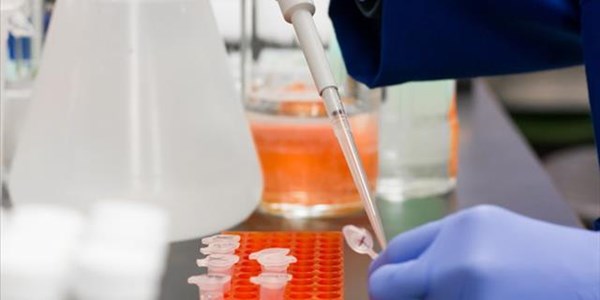 #Coronavirus Q&A: Will rapid antibody tests save SA? #Coronavirus Q&A: Will rapid antibody tests save SA? | News Article