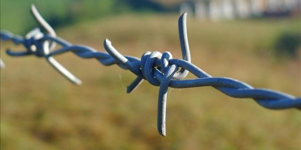 Bulwane urges farmers to patrol areas during #SAlockdown Bulwane urges farmers to patrol areas during #SAlockdown | News Article
