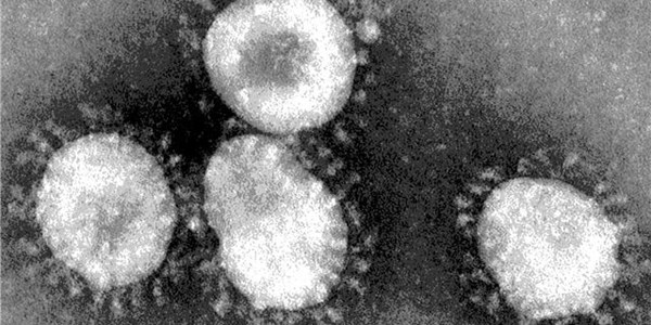 Duduza Clinic health workers test negative for #Covid19 Duduza Clinic health workers test negative for #Covid19 | News Article