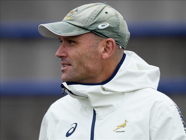 We are in unusual times - Springbok coach Nienaber | News Article