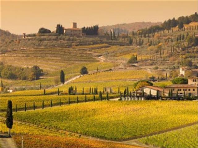 #Coronavirus: Labour shortages a huge challenge in Europe,  America | News Article