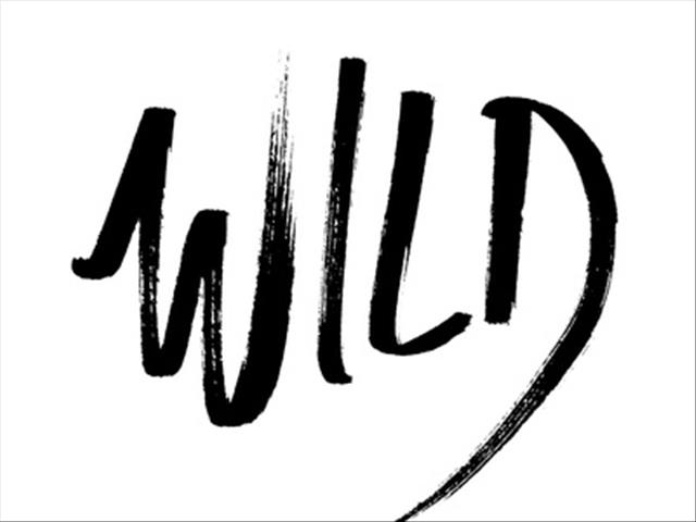 TJR - Weird Wide Web: Wild people with wild animals  | News Article