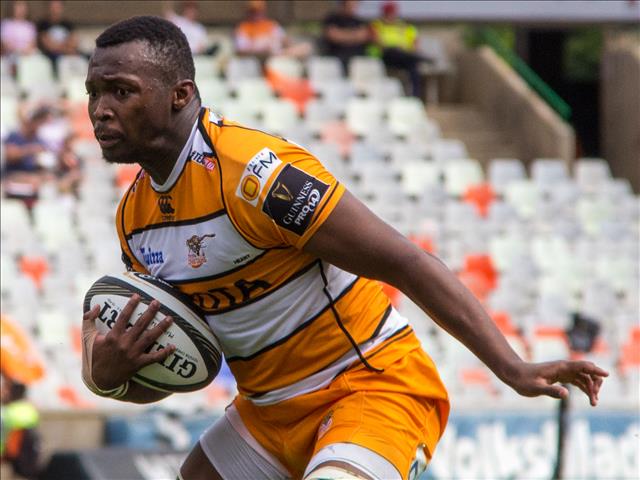 Pokomela would welcome the Cheetahs captaincy in future | News Article