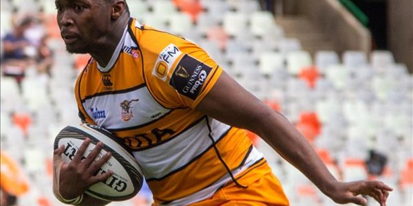 Pokomela would welcome the Cheetahs captaincy in future | News Article