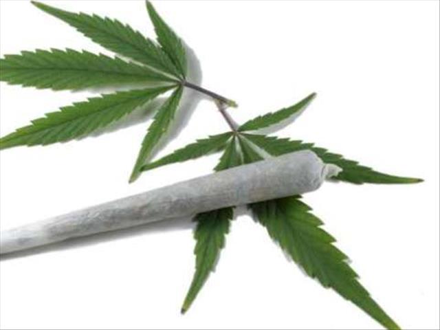 Five busted with dagga worth R1.7 million | News Article