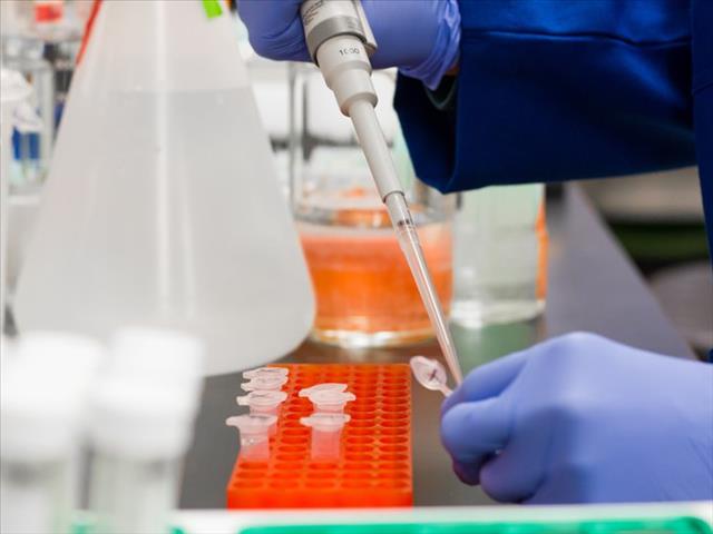 #CoronavirusSA: UFS joins effort to develop vaccine | News Article