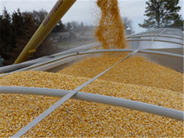 Agri-Uur: Jongste Safex-nuus | News Article