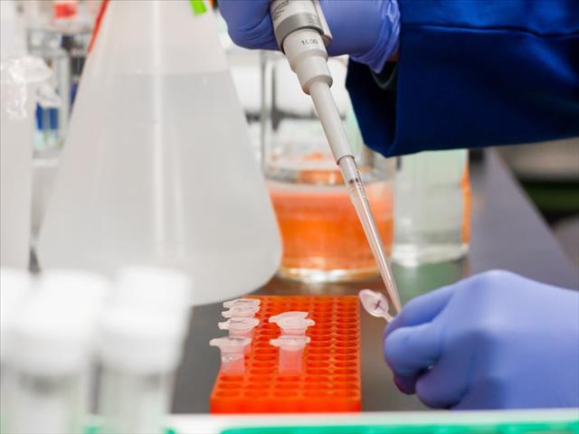 #CoronavirusNW: Health tracing positive doctor's contacts  | News Article