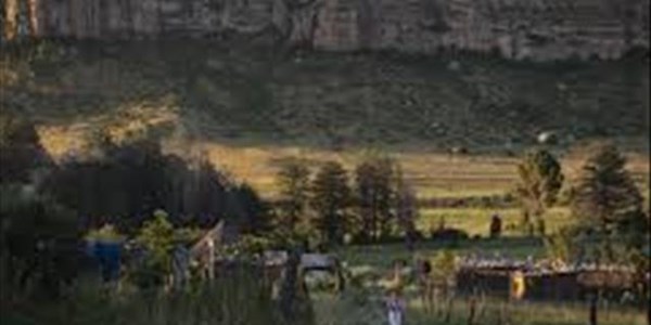 #SAlockdown brings FS tourism to its knees #SAlockdown brings FS tourism to its knees | News Article