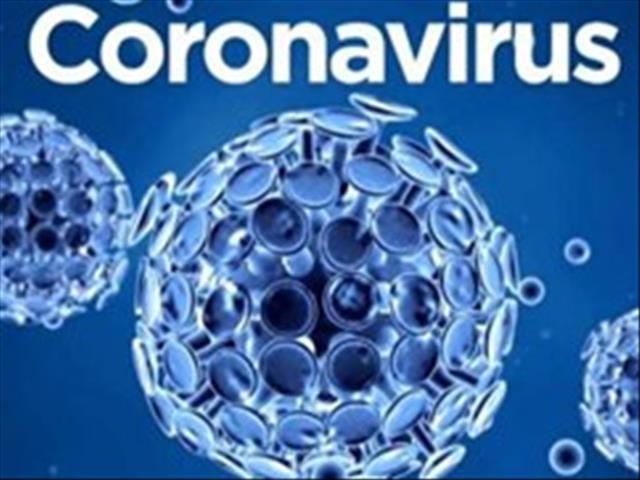 Quarantine sites cost government millions  | News Article