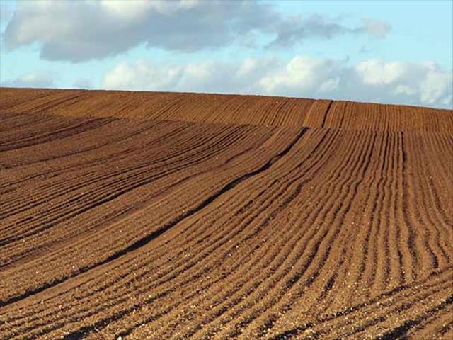 Landbounuus-podcast: Agri SA wil regering druk vir droogteramphulp in veral NK | News Article