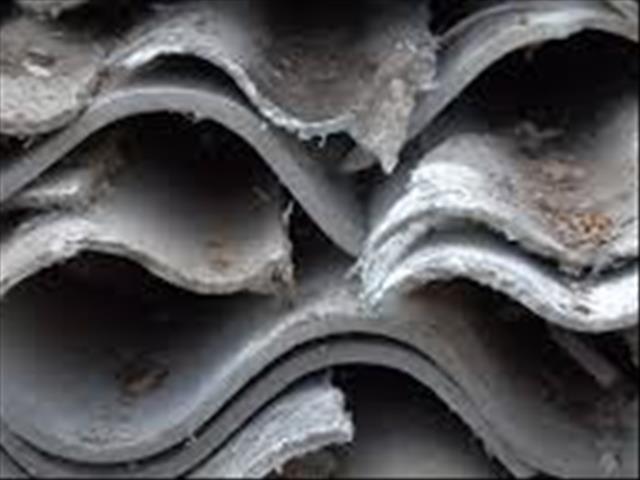 FS asbestos housing contract under scrutiny | News Article