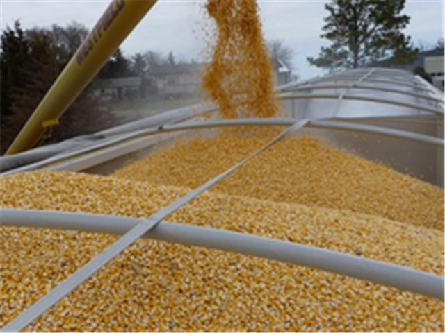 Agri-Uur: Jongste Safex-nuus | News Article