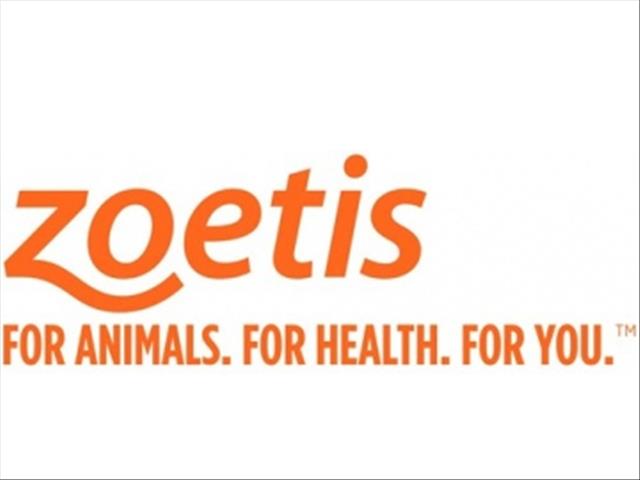 Zoetis bied dieregesondheidsoplossings oor 'n groot spektrum | News Article